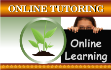 Web-Box_Online-Tutoring